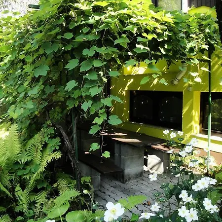 Blumauer Apartment